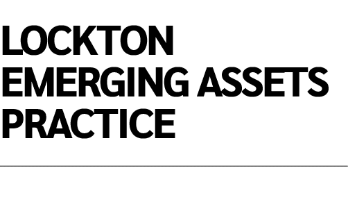 LOCKTON EMERGING ASSETS PRACTICE 